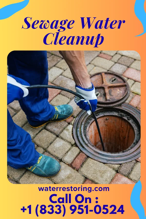 Sewage Water Cleanup in Stewartsville, MO
